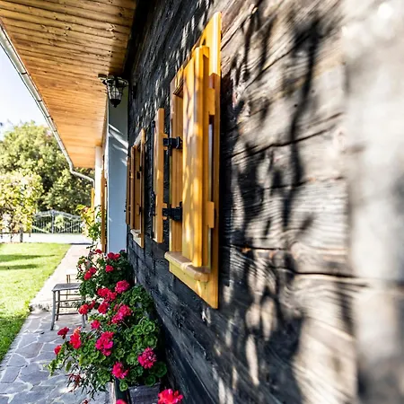 Mit Sauna! Neu Renoviertes 