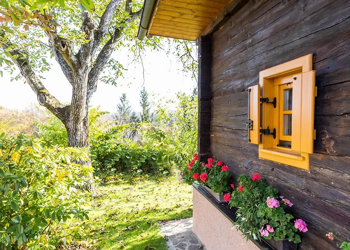 Mit Sauna! Neu Renoviertes Liebler Heimathaus Mit Sauna Aus Zirben-altholz, Einer Styrian Whisky Relaxing Lounge Sowie Großer Panoramaterrasse! Ferienhaus *