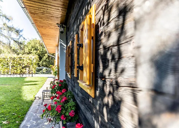 Mit Sauna! Neu Renoviertes Liebler Heimathaus Mit Sauna Aus Zirben-altholz, Einer Styrian Whisky Relaxing Lounge Sowie Großer Panoramaterrasse! Ferienhaus